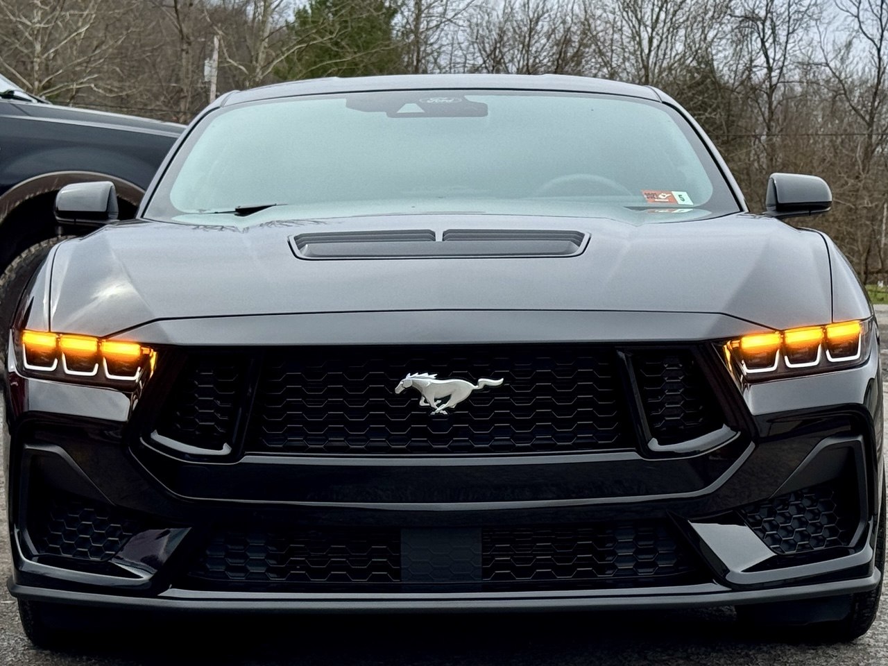 Ford Mustang front view with detailed paint finish